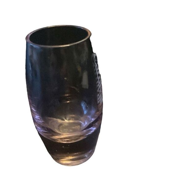 Pre Owned Carnival Cruise Lines Pink Shot Glass Etched Logo Shotglass HTF - Picture 9 of 10